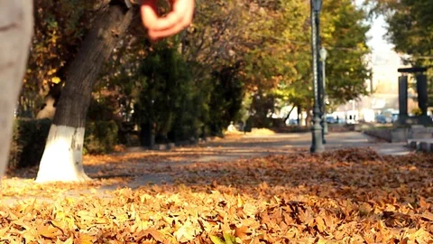 Male walking on orange fallen maple leaves in autumn. Male throws leaves with Vidéo 83641189