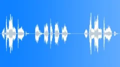 Male whisper: it's a secret! Sound Effect