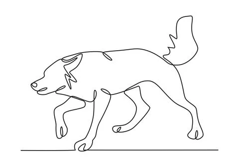 A male wolf chasing prey Stock Illustration