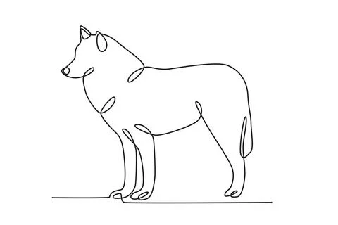 A male wolf is standing Stock Illustration