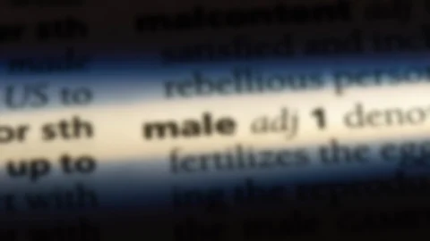 Male word in a dictionary. Stock Footage 99563278