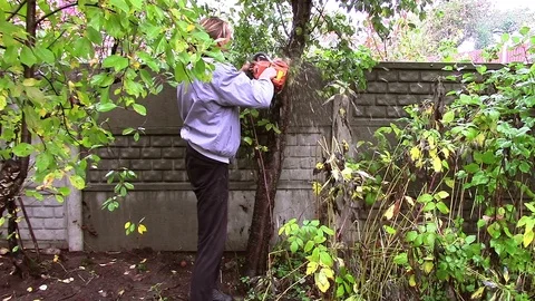 Male worker cuts a tree chainsaw Stock Footage 122073490