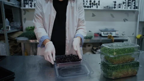 Male Worker Filling Plastic Containers with Organic Greens Video stock 331293553