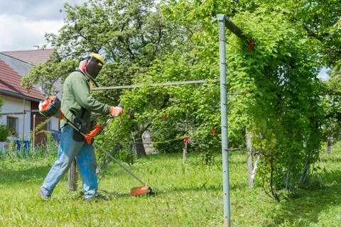 Male worker with power tool string lawn trimmer mower cutting grass Stock Photos