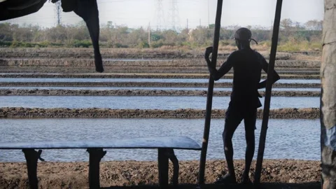 A male worker standing and overlooking a salt lake flats filled with water Video stock 337092878