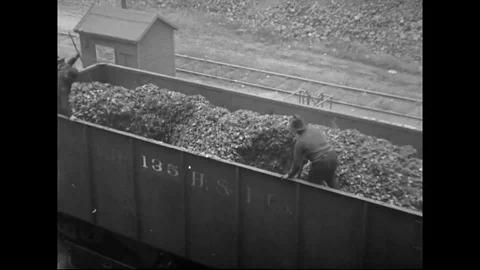 Male Workers Emptying Train Wagon With Peach Pits Raw Materials Load Stock Footage 129759764