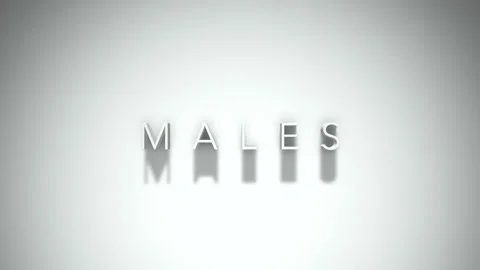 Males 3D title animation with shadows on a white background Vídeo Stock 296515127