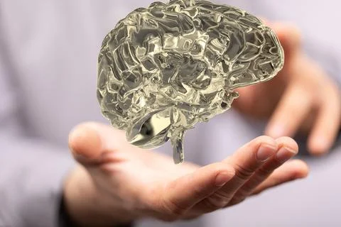 Male's hands holding an illustrated golden human brain Stock Photos