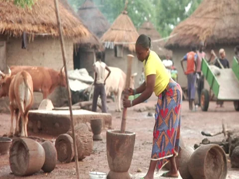 Mali 1 Video stock 7761498