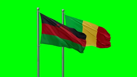 Mali and Malawi two flags Stock Footage 295178403