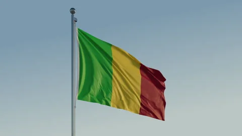 Mali Bamako Flag seamless loop Cinematic Realistic Waving Blue Sky Stock Footage 316715537