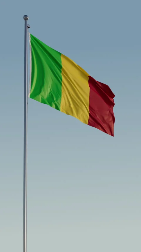 Mali Bamako Flag Seamless Loop Cinematic Realistic Waving Blue Sky Stock Footage 320942549