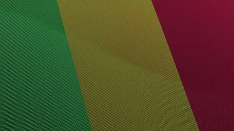 Mali Flag Digital Particle Waving Seamless Loop Animation on Black Background Stock Footage 339303053