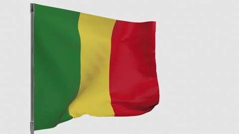 Mali flag on pole Stock Footage 148602438