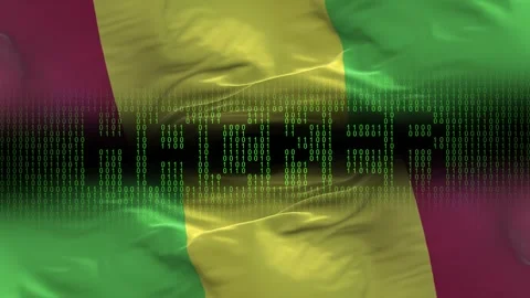 Mali flag - Waving flag on matrix binary code background Stock Footage 321420300