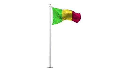 Mali flag waving looping with transparent background. Video stock 321631348