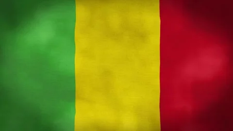 Mali flag waving in the wind Stock Footage 276650935
