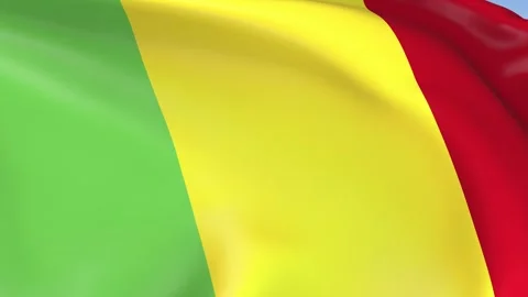 Mali Waving Flag Background Loop Stock Footage 317844698