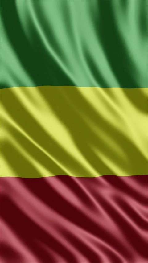 Mali waving flag Stock Footage 288004376
