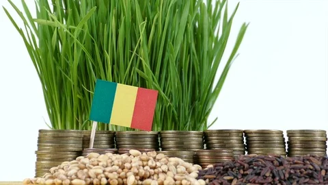 Malian flag with stack of money coins and piles of wheat and rice seeds Stock Footage 71985321