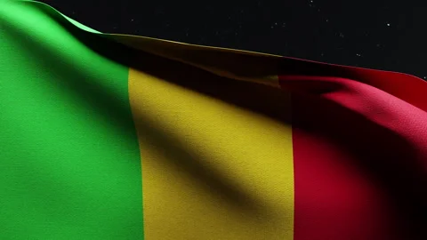 Malian Flag Waving at Night Stock Footage 277028064