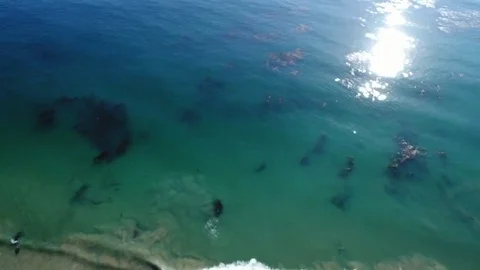 Malibu Beaches 動画素材 114413704