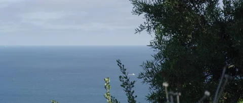 Malibu, CA coast (8K) Stock-Footage 156339301