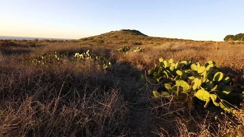 Malibu Desert Landscape in the Wind Stockbeeldmateriaal 81456408