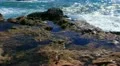 Malibu Ocean Waves 10 Pt Dume California Tide Pool HD Footage