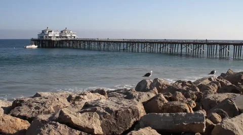 Malibu Pier with Birds Stock Footage 52798247