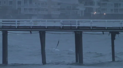 Malibu pier Stock Footage 46463794