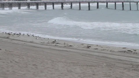 Malibu pier Stock Footage 46463907