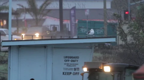 Malibu pier Stock Footage 46464478