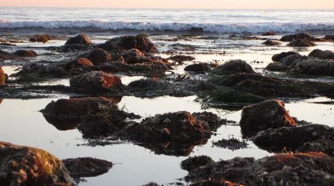 Malibu Tide Pools Closeup rocks and waves breaking (nice!) Video stock 47409291