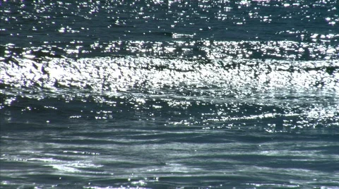 Malibu Waves 動画素材 731945