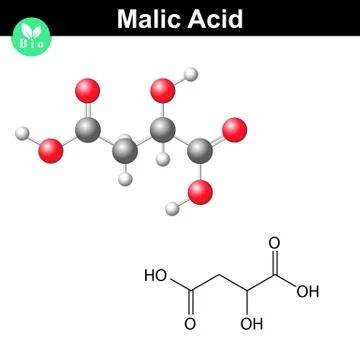 Malic acid molecule Stock Illustration