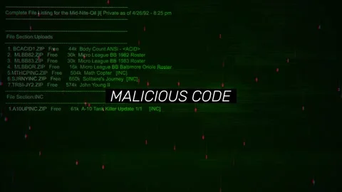 Malicious Code Text on hacking background screen Stock Footage 317058276