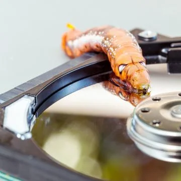 Malicious computer worm . - Concept for data security. Foto stock