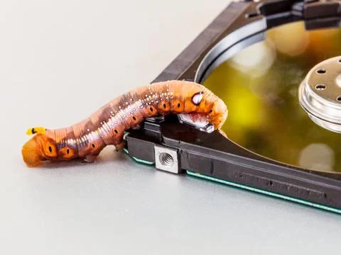 Malicious computer worm . - Concept for data security. Stock Photos