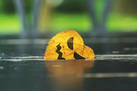 A malicious face painted on a leaf stuck in a tree. Halloween holiday. Stock Photos