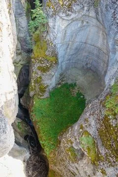 Maligne Canyon in Alberta Stock Photos