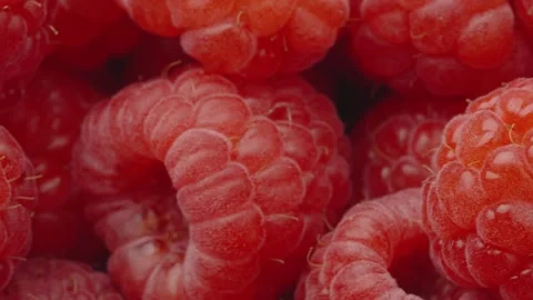 MalinaBig Stock Footage 249262729