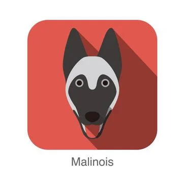 Malinois dog face flat icon, dog series Stock Illustration