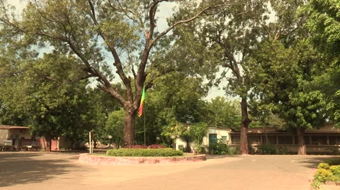 Mali's flag 2 Stock Footage 51436332