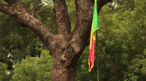 Mali's flag Stock Footage 51436449