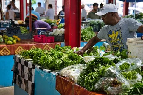 Malke vendor washing lettuce in town market Stock Photos