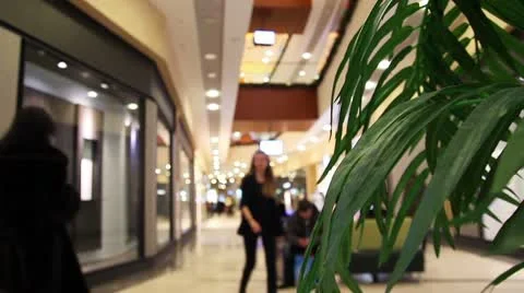 Mall 0044 库存影片 10719911