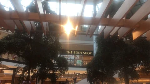 Mall 4 Stock Footage 102148075