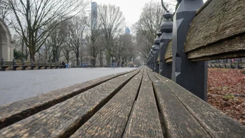 Mall Central Park Bench Stock Footage 262741736