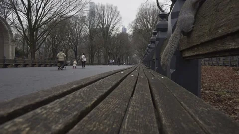 Mall Central Park Bench Stock Footage 262743142